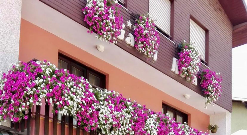 Bar Garnì Rosa di Gallo Francesca | Garnì Rosa in the Ledro Valley, in Trentino, for your relaxing holidays surrounded by nature